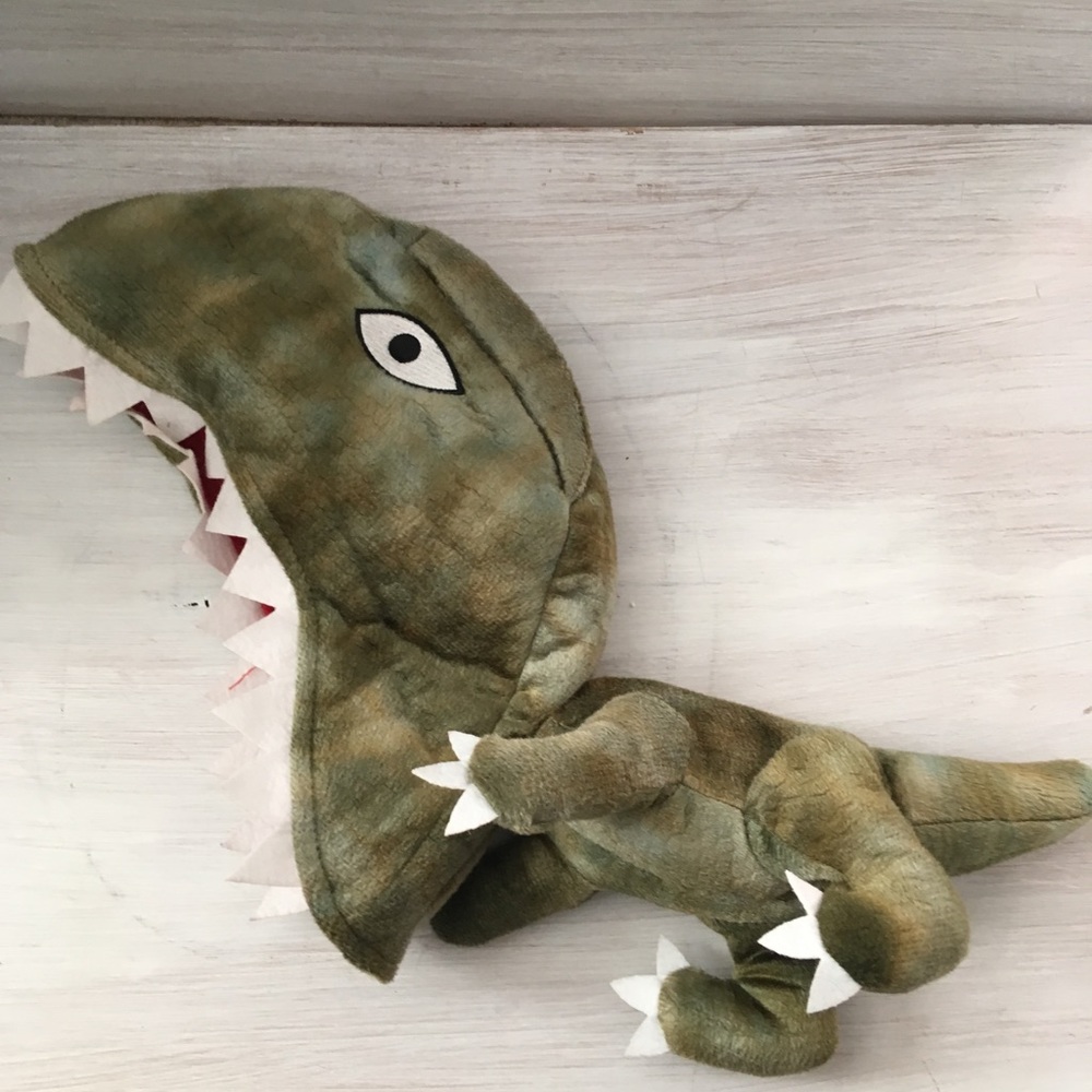 Crazy dinosaur hat